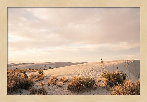 Tranquil Dusk Over White Sands