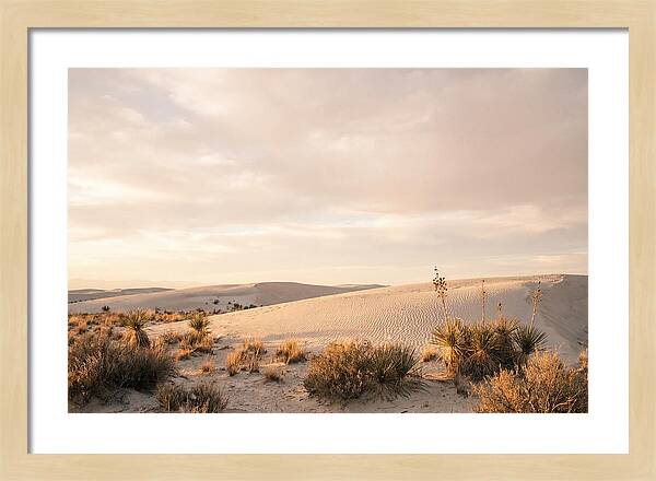 Tranquil Dusk Over White Sands