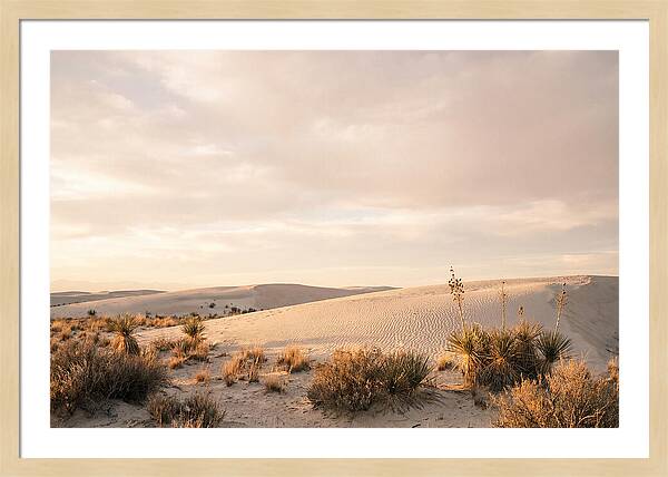 Tranquil Dusk Over White Sands