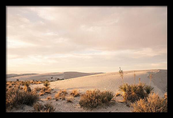 Tranquil Dusk Over White Sands