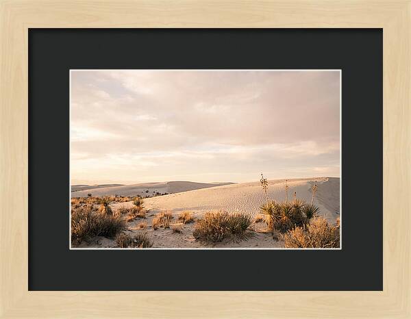 Tranquil Dusk Over White Sands