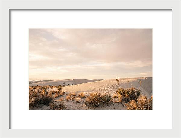 Tranquil Dusk Over White Sands