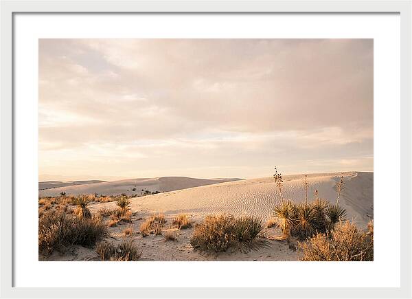 Tranquil Dusk Over White Sands