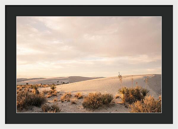 Tranquil Dusk Over White Sands