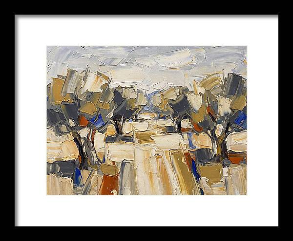 Tranquil Grove Of Olives 6091