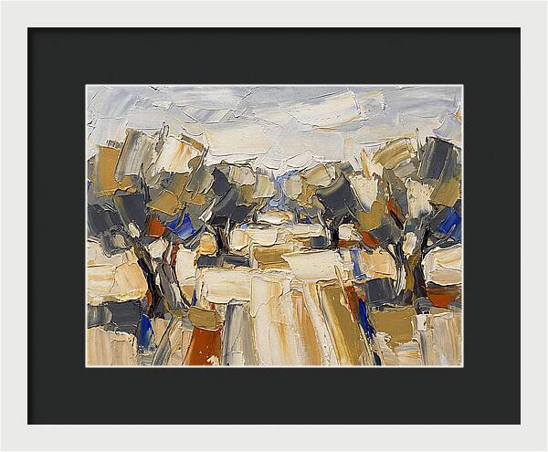 Tranquil Grove Of Olives 6091