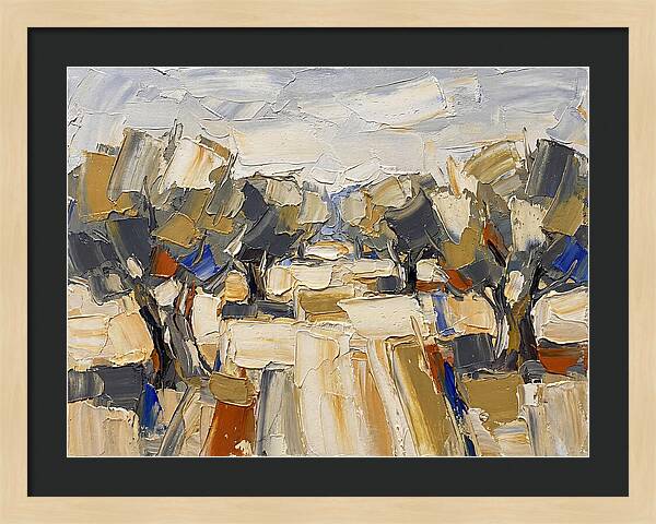 Tranquil Grove Of Olives 6091