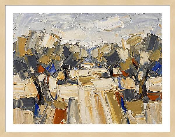 Tranquil Grove Of Olives 6091