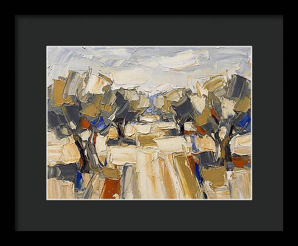 Tranquil Grove Of Olives 6091