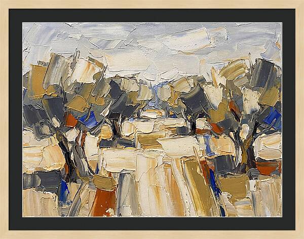 Tranquil Grove Of Olives 6091