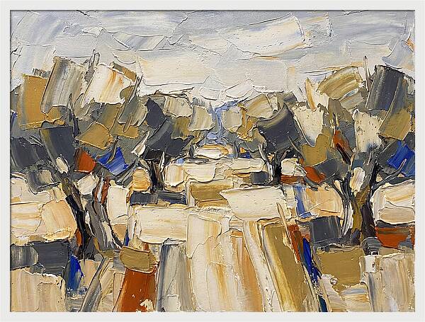 Tranquil Grove Of Olives 6091