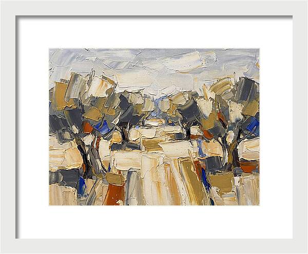 Tranquil Grove Of Olives 6091