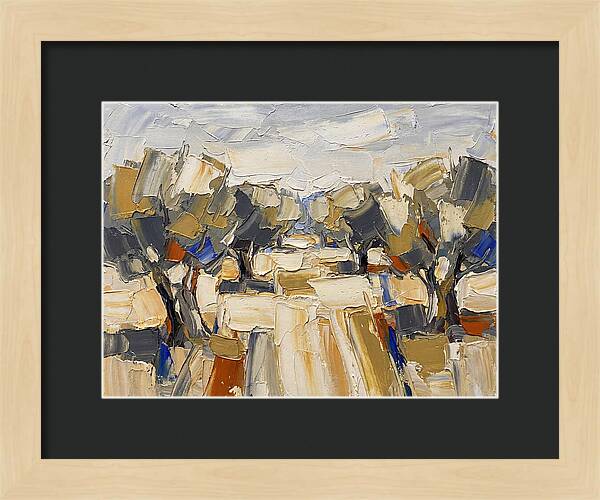 Tranquil Grove Of Olives 6091