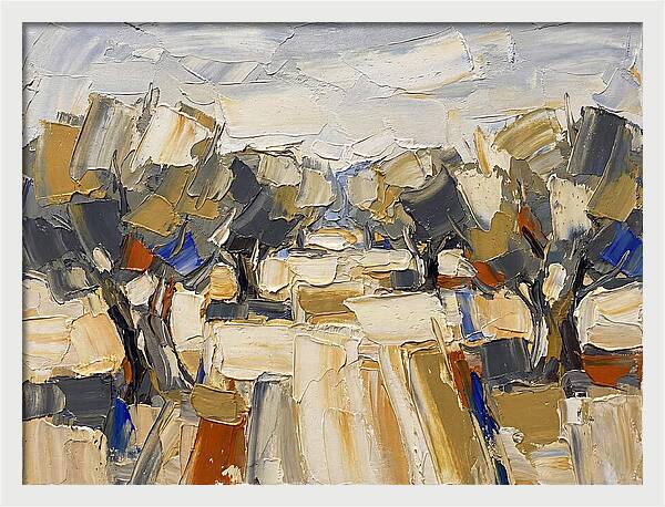 Tranquil Grove Of Olives 6091