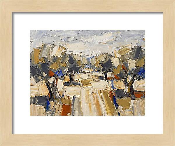 Tranquil Grove Of Olives 6091