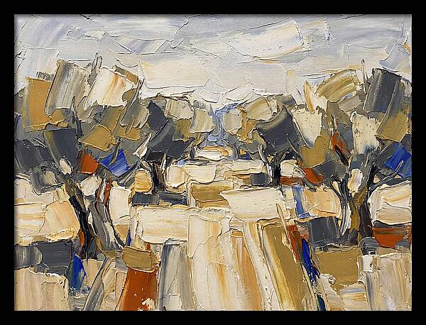Tranquil Grove Of Olives 6091