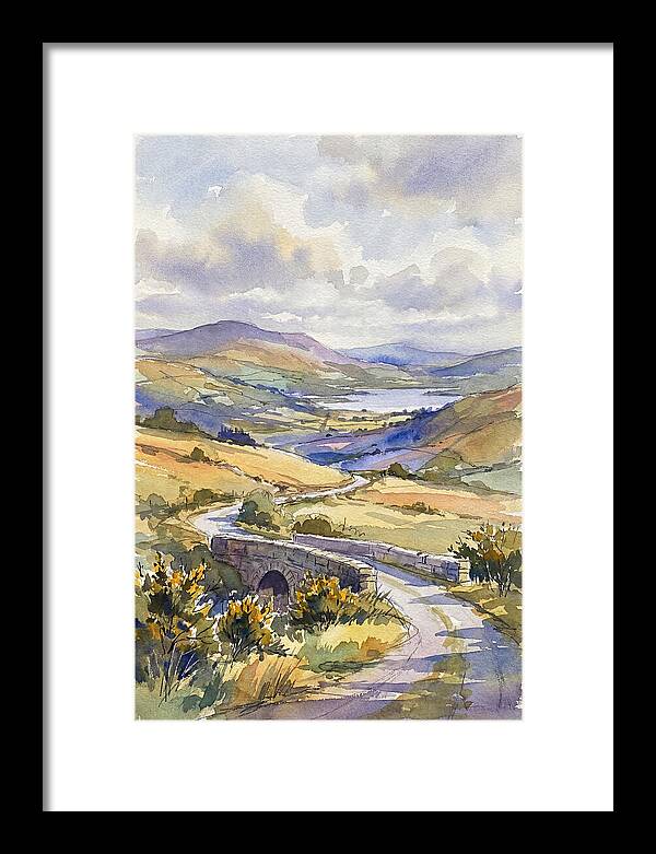 Tranquil Irish Countryside