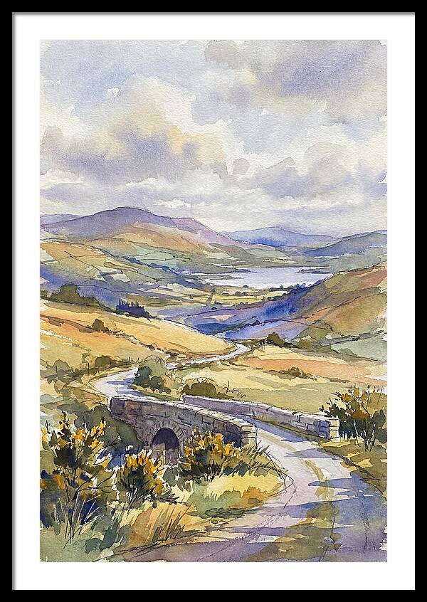 Tranquil Irish Countryside