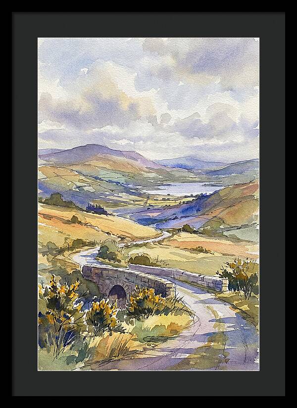 Tranquil Irish Countryside