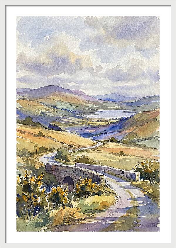 Tranquil Irish Countryside