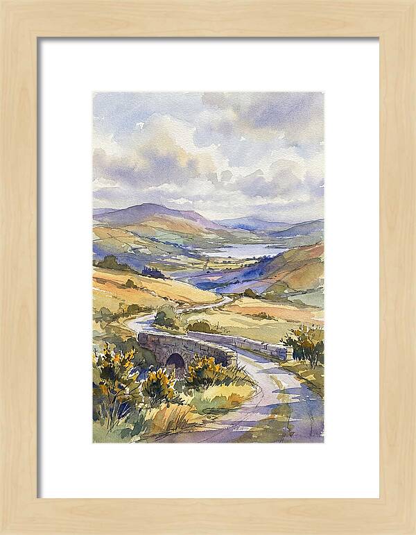 Tranquil Irish Countryside