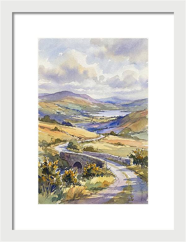 Tranquil Irish Countryside