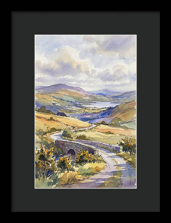 Tranquil Irish Countryside