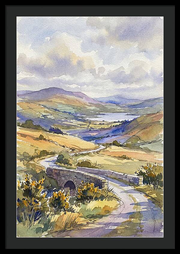 Tranquil Irish Countryside
