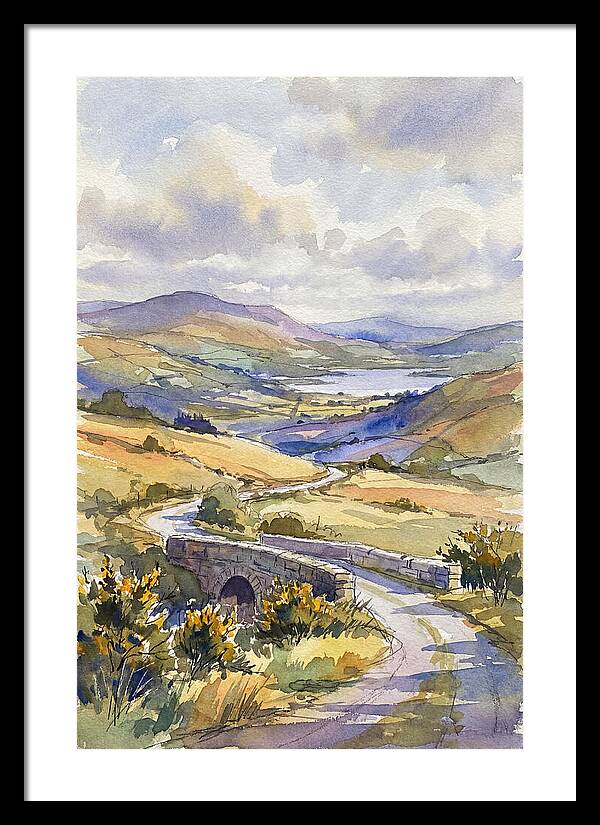 Tranquil Irish Countryside