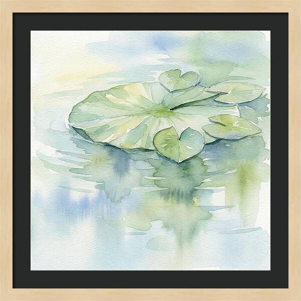 Tranquil Lily Pad Reflections