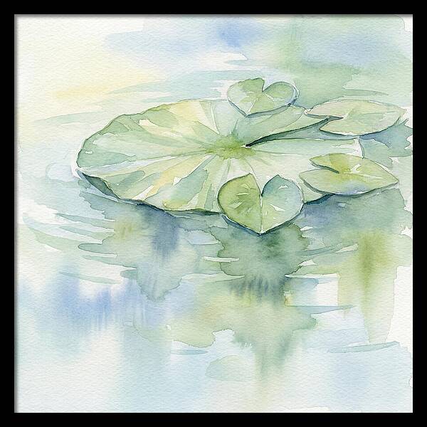 Tranquil Lily Pad Reflections