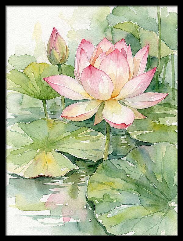 Tranquil Lotus Harmony
