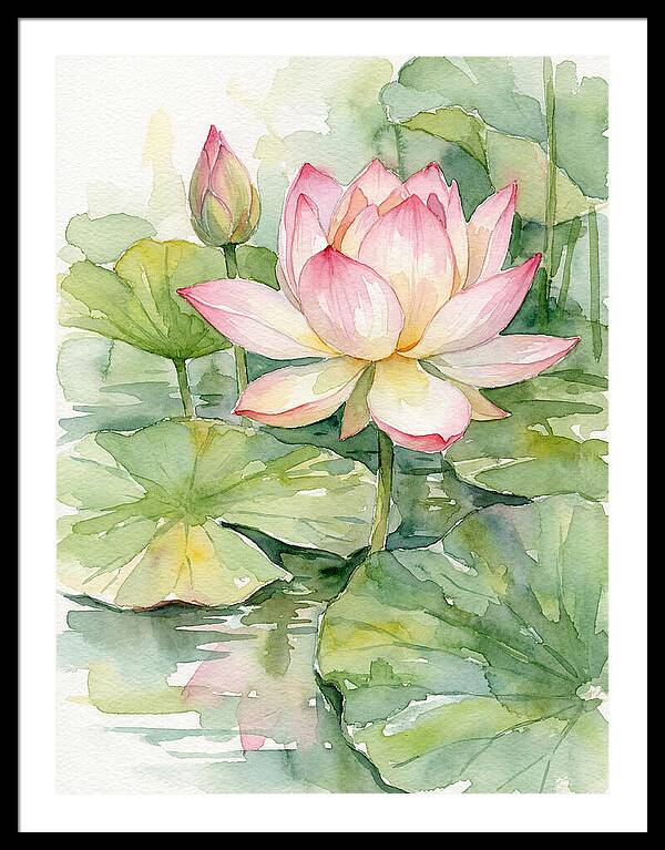Tranquil Lotus Harmony