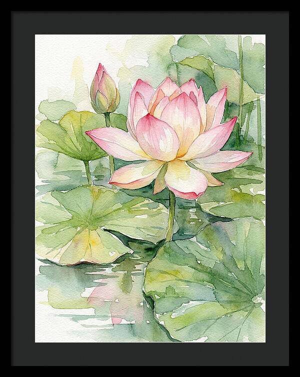 Tranquil Lotus Harmony