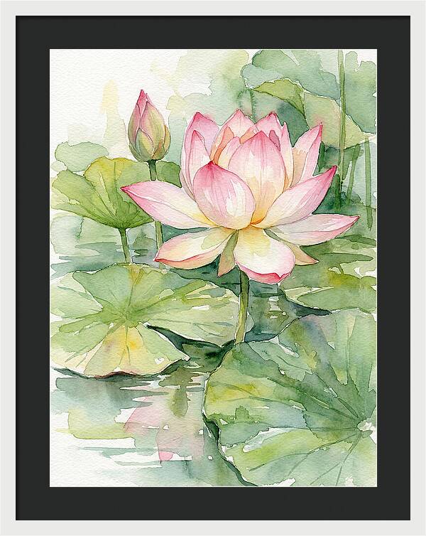 Tranquil Lotus Harmony