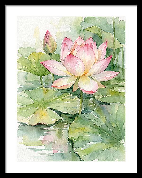 Tranquil Lotus Harmony