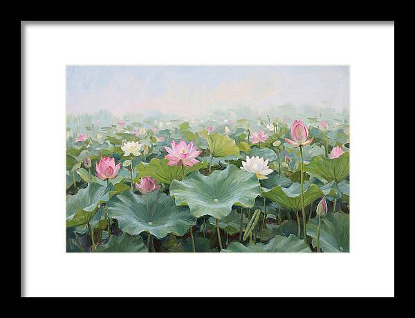 Tranquil Lotus Reflections