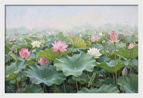 Tranquil Lotus Reflections
