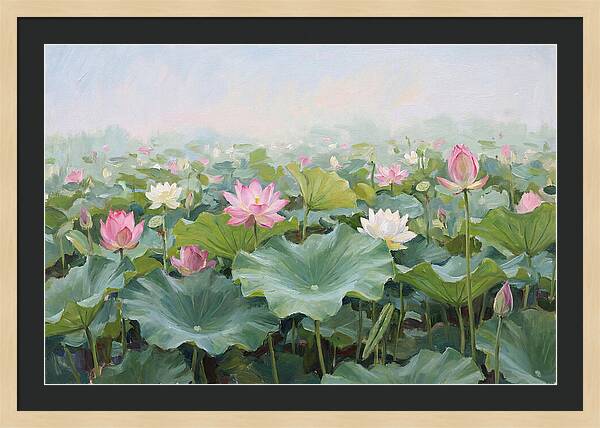 Tranquil Lotus Reflections