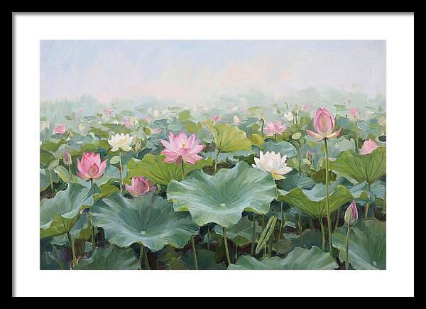 Tranquil Lotus Reflections