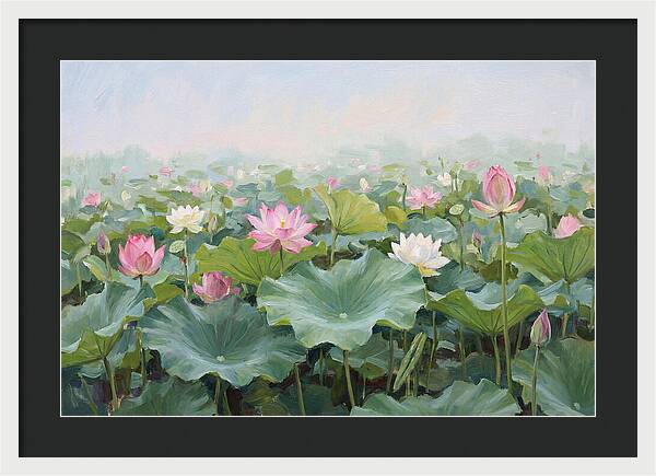 Tranquil Lotus Reflections