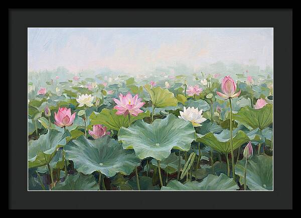 Tranquil Lotus Reflections