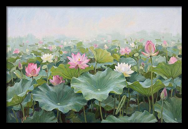 Tranquil Lotus Reflections