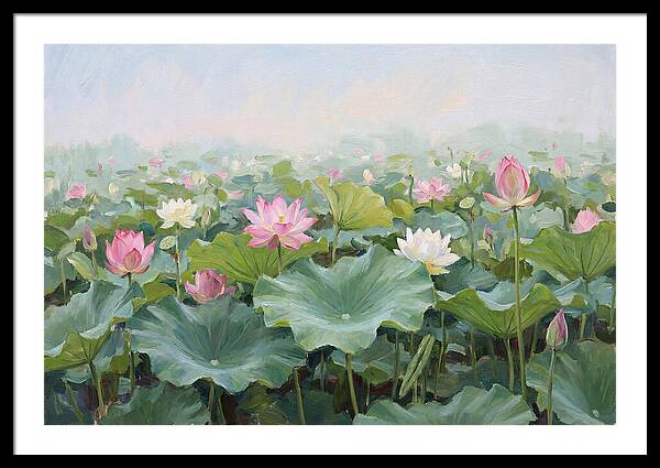 Tranquil Lotus Reflections