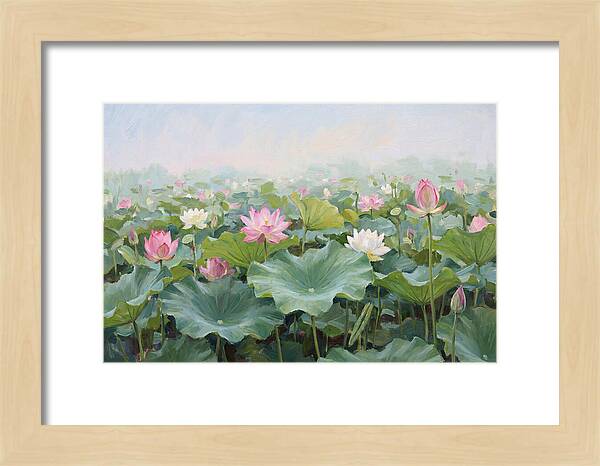 Tranquil Lotus Reflections