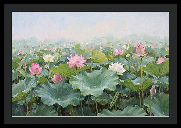 Tranquil Lotus Reflections