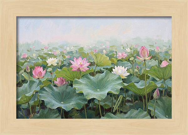 Tranquil Lotus Reflections