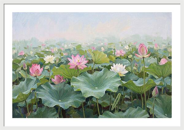 Tranquil Lotus Reflections