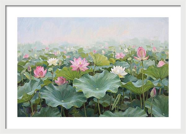 Tranquil Lotus Reflections
