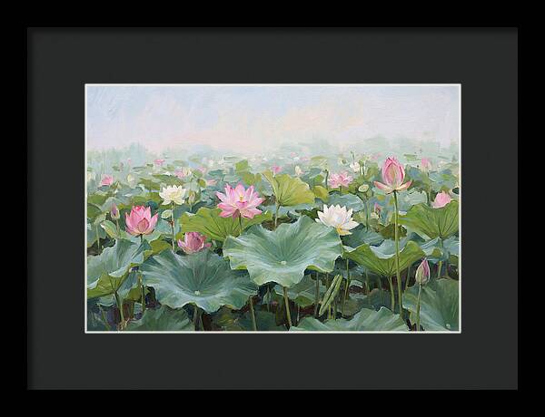 Tranquil Lotus Reflections